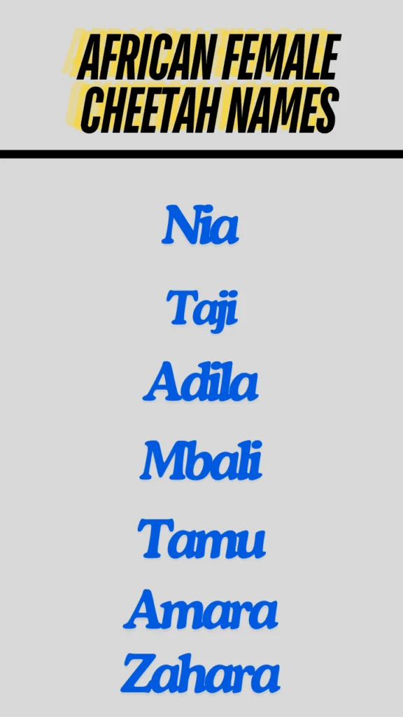 African Female Cheetah names