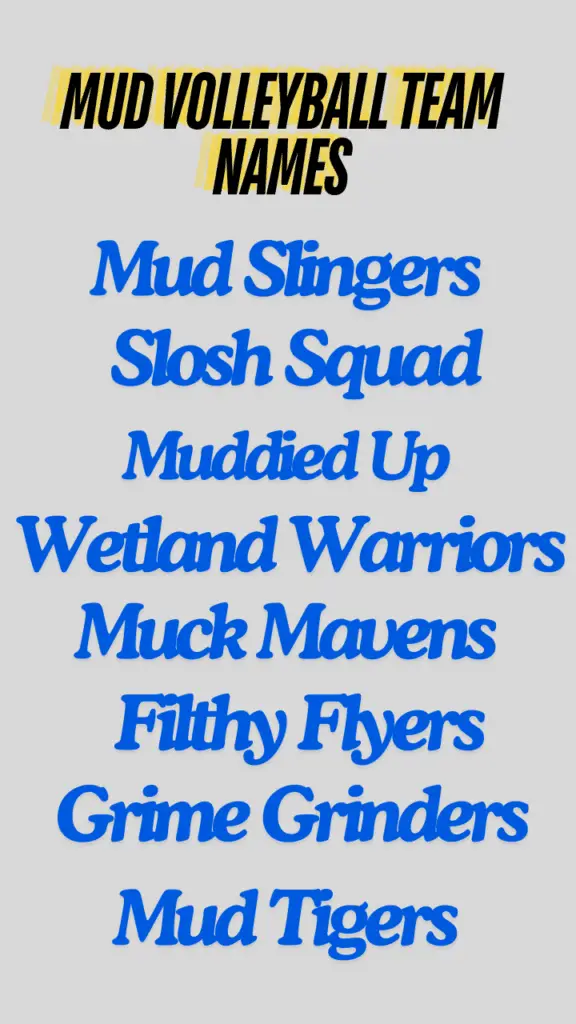 Mud volleyball team names