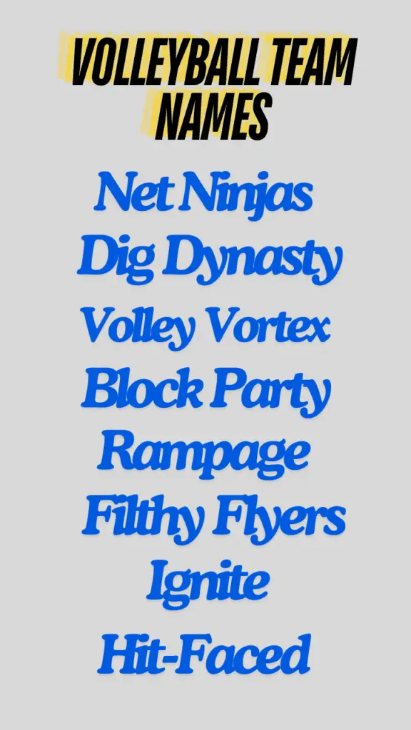 Volleyball Team Names