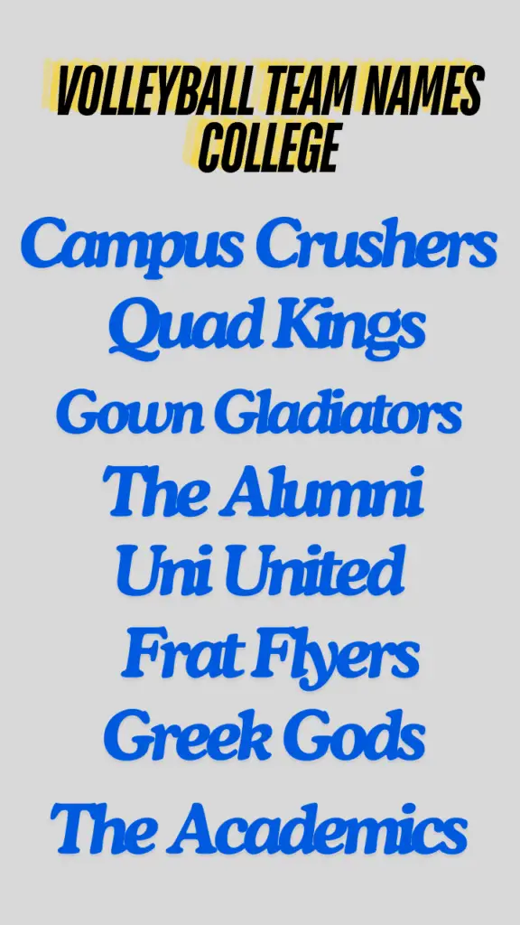 Volleyball team names college