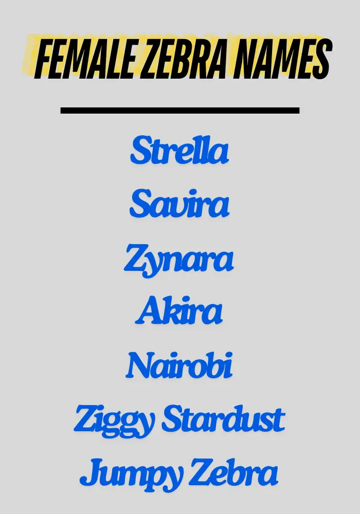 Female Zebra Names