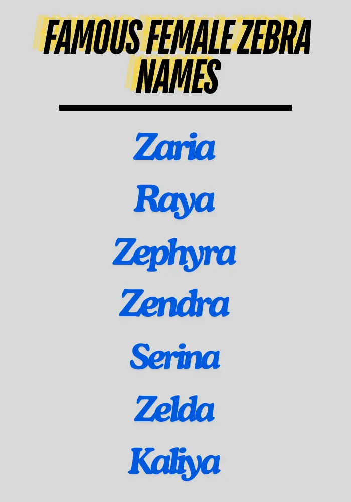 Famous female Zebra names