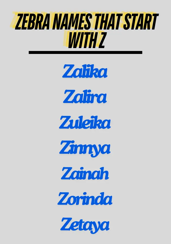 Zebra names that start with Z