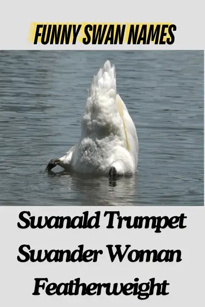 Funny swan names