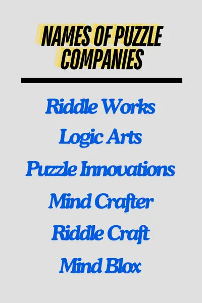 Names of puzzle companies