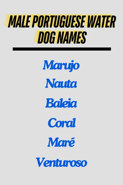 Male Portuguese water dog names