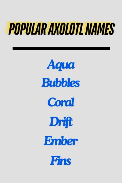 Popular Axolotl Names