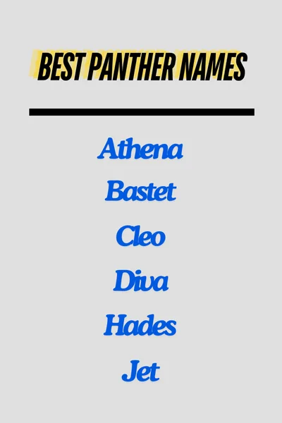 Best Panther Names