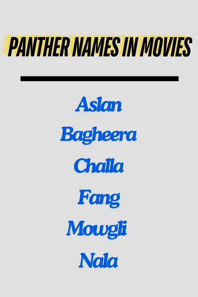 Panther Names in Movies