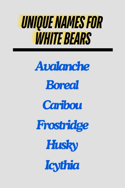 Unique Names for White Bears