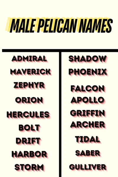 Male Pelican names