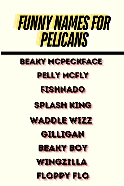 Funny names for Pelicans