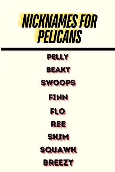 Nicknames for Pelicans