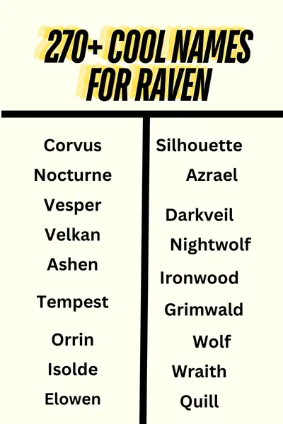 270+ Cool Names For Raven