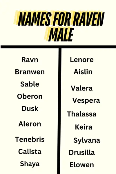 Names for Raven Male