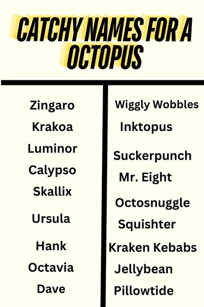 Catchy Names For a Octopus