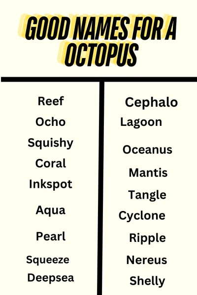 Good names for a Octopus