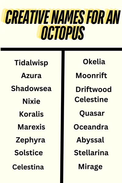 Creative names for an Octopus