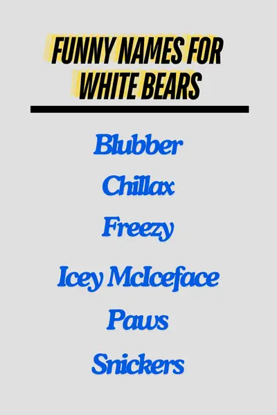 Funny Names for White Bears