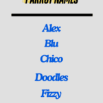 Parrot Names