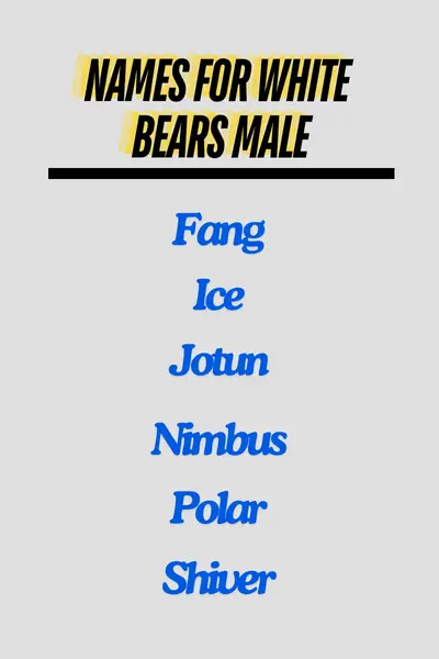 Names for White Bears Male