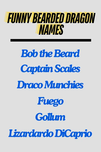 Funny bearded dragon names