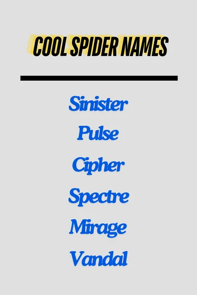 Cool Spider Names