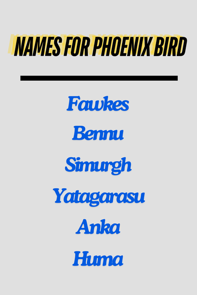 Names for Phoenix Bird