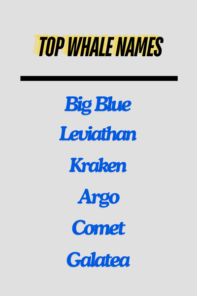 Top Whale Names