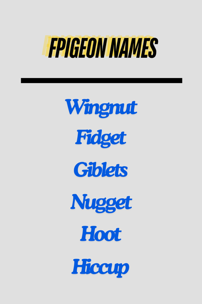 Pigeon Names