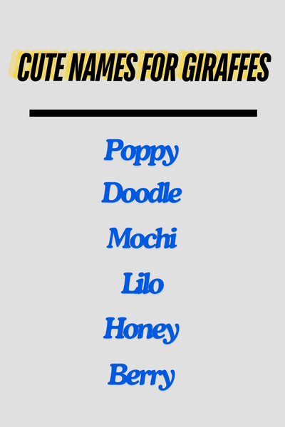 Cute Names for Giraffes