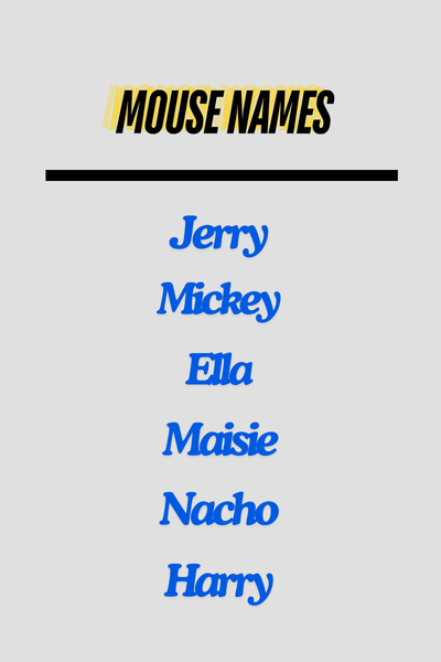 Mouse Names