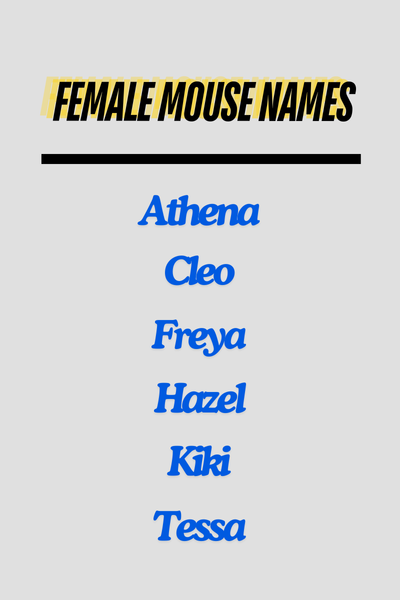 Female Mouse Names