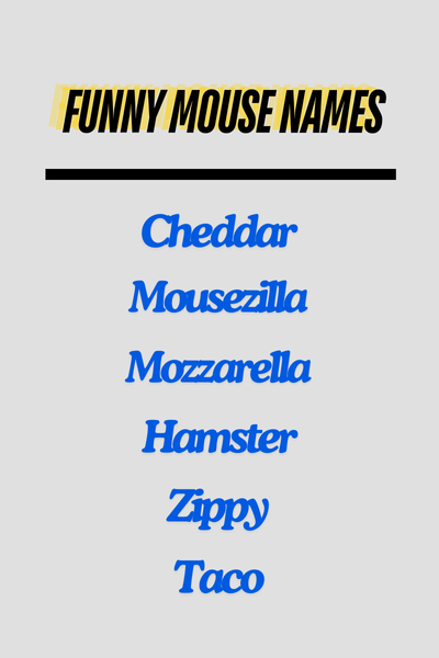 Funny Mouse Names