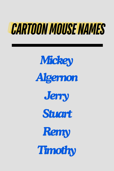 Cartoon Mouse Names