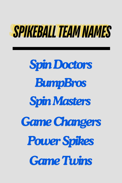 Spikeball Team Names