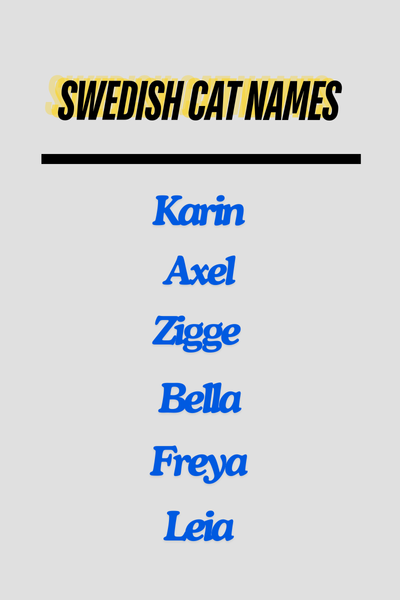 Swedish Cat Names