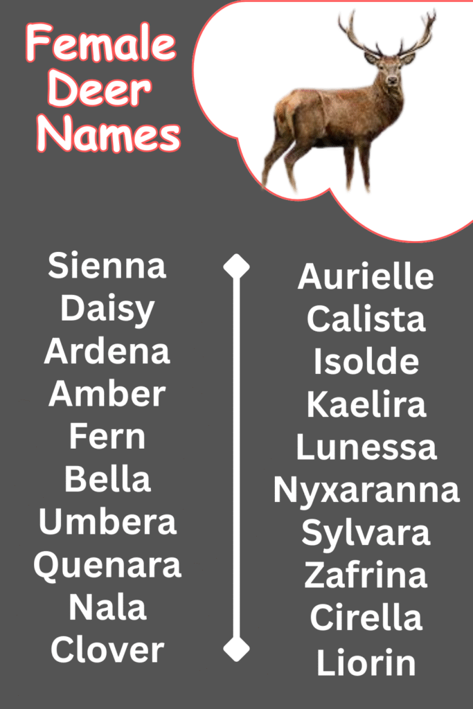 Female Deeer names