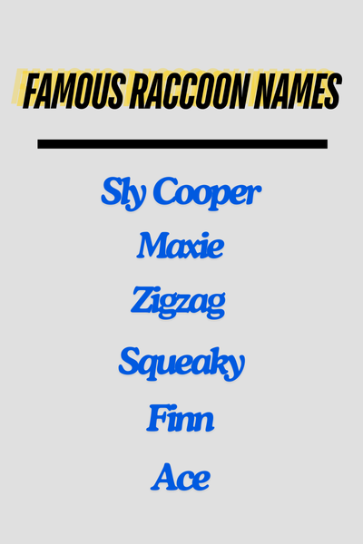 Famous Raccoon Names