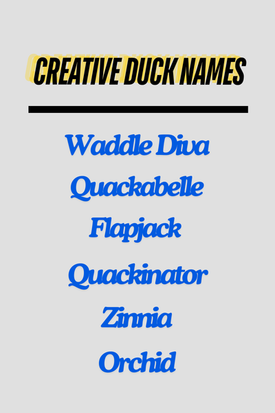 Creative Duck Names