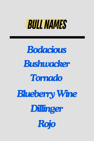 Bull Names