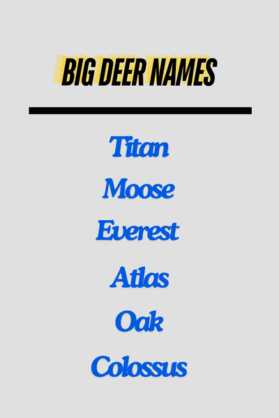 Big Deer Names