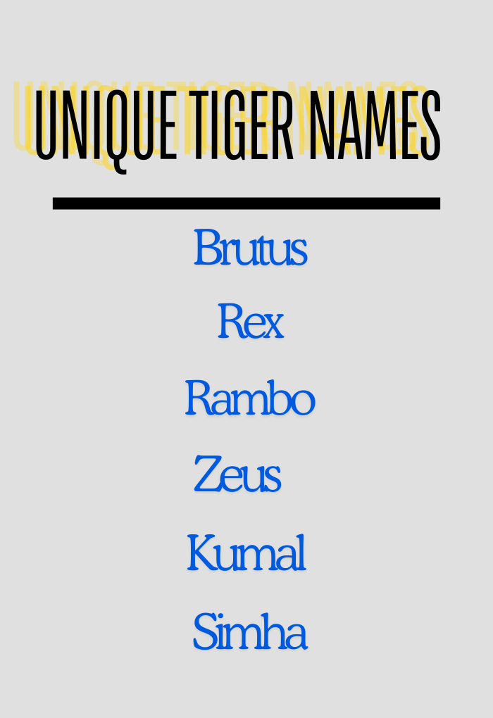 unique tiger names