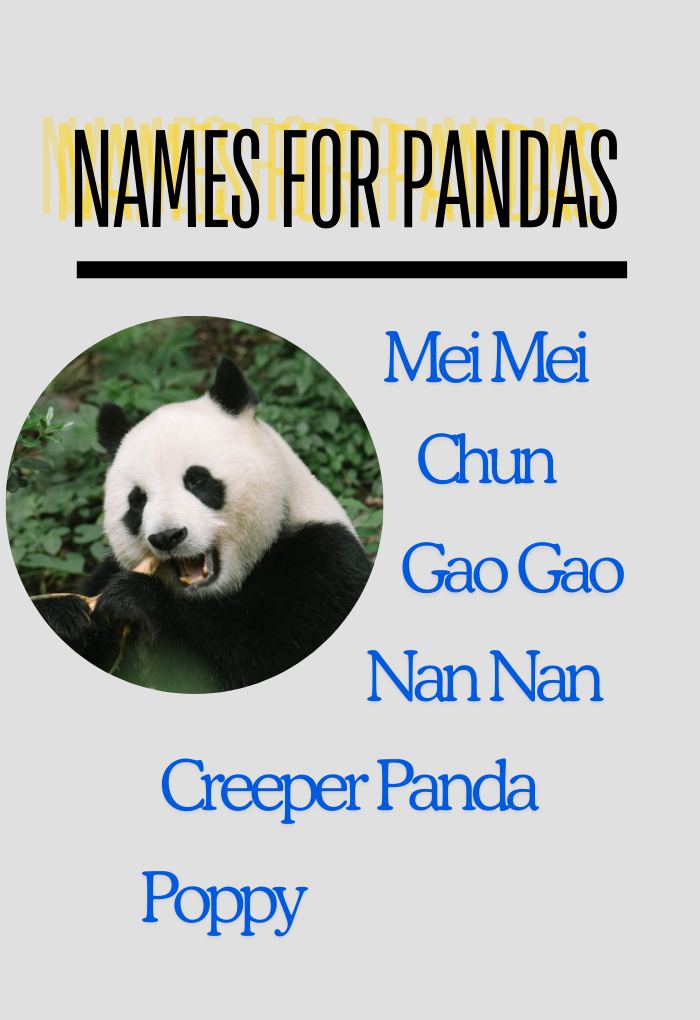 Names for Pandas