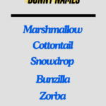 Bunny names