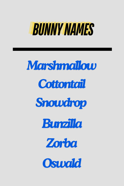 Bunny names