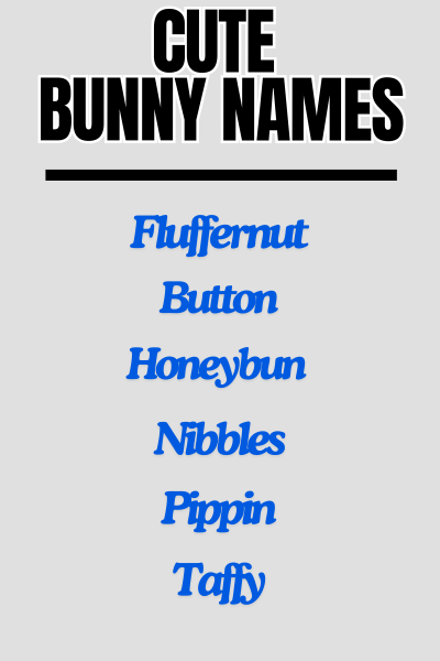 Cute Bunny Names